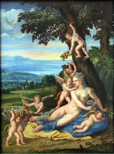 Venus and Cupid by Battista Dossi